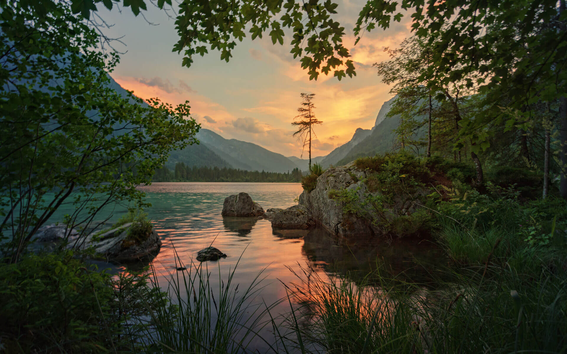 Scène paisible de la nature au coucher du soleil