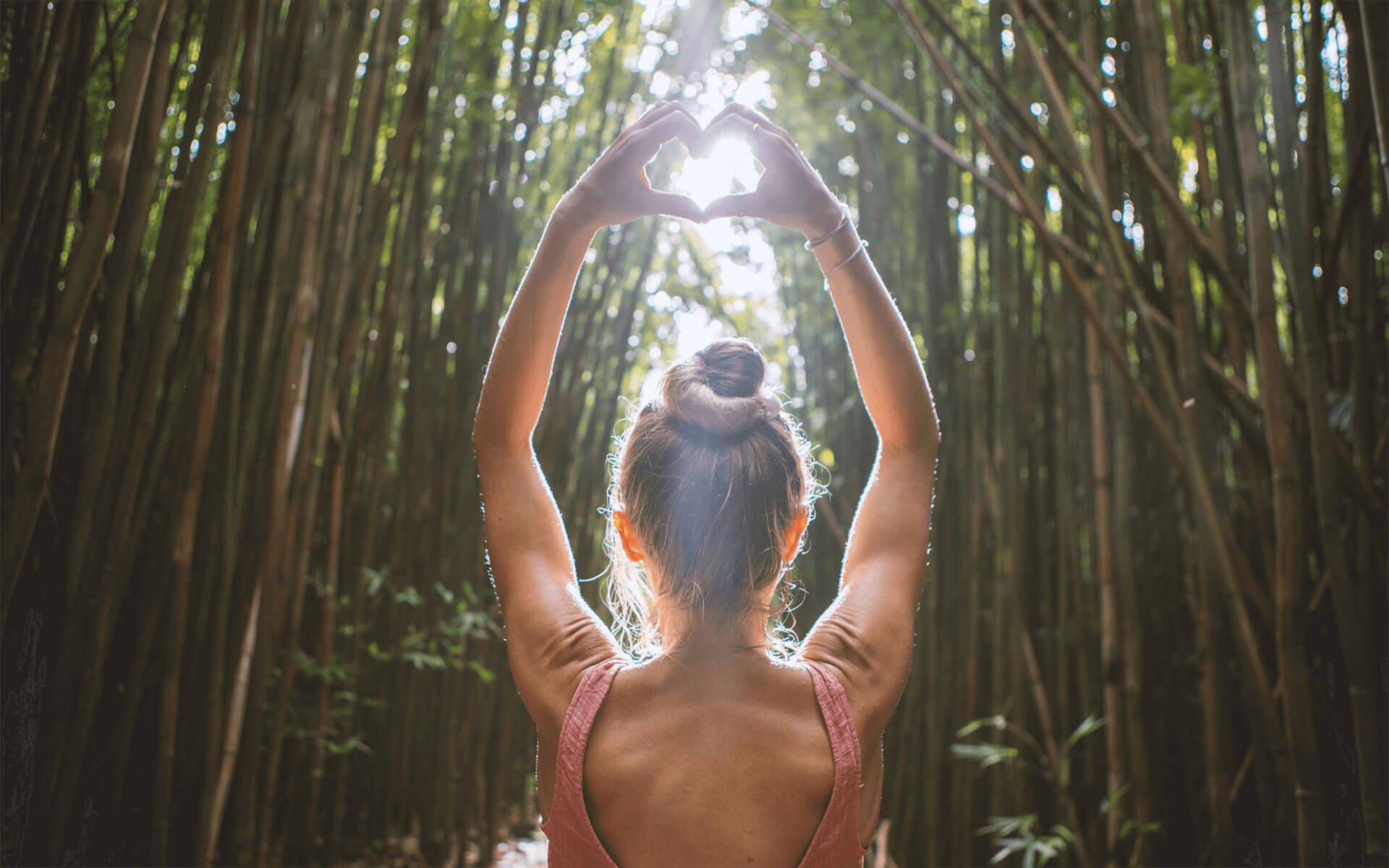 Hands in shape of a heart in a bamboo forest