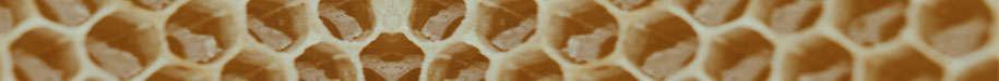 Background of headshot, a honeycomb